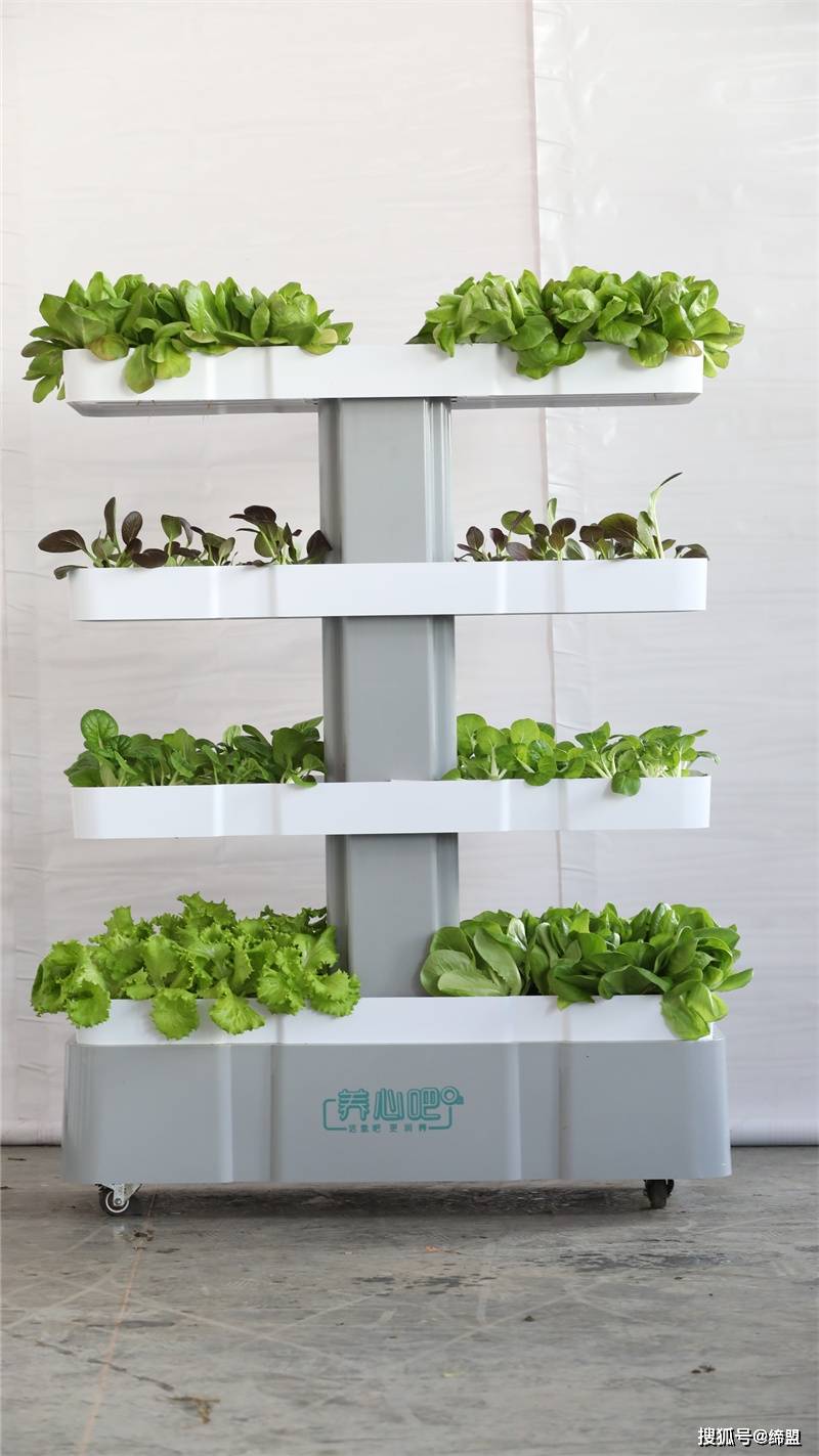 叶菜 水培 营养液配方_水培蔬菜营养液的最佳ec值_水培营养液配方表