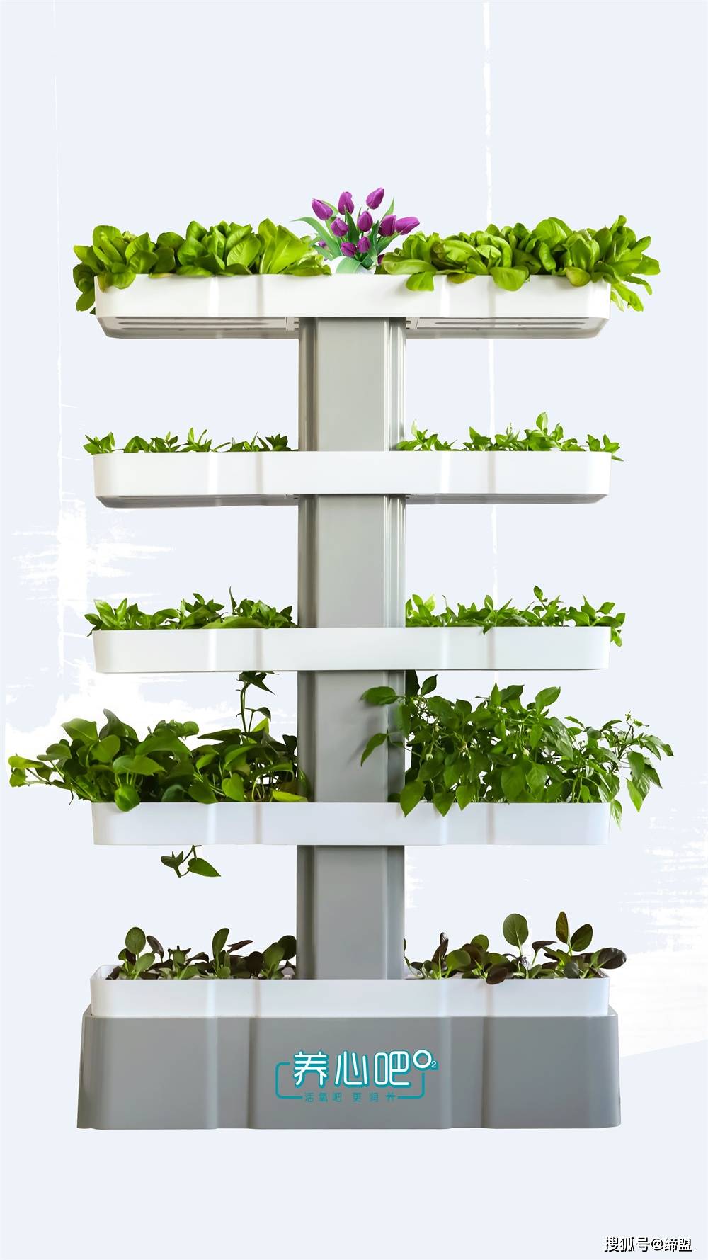 水培蔬菜营养液的最佳ec值_叶菜 水培 营养液配方_水培营养液配方表