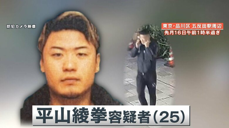 黑社会电影_电影黑社会大佬_电影黑社会粤语版免费观看