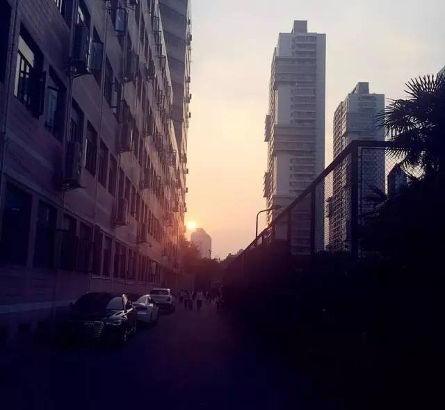 机器人社团课程授课流程_机器人课程教育社团_机器人社团课是什么