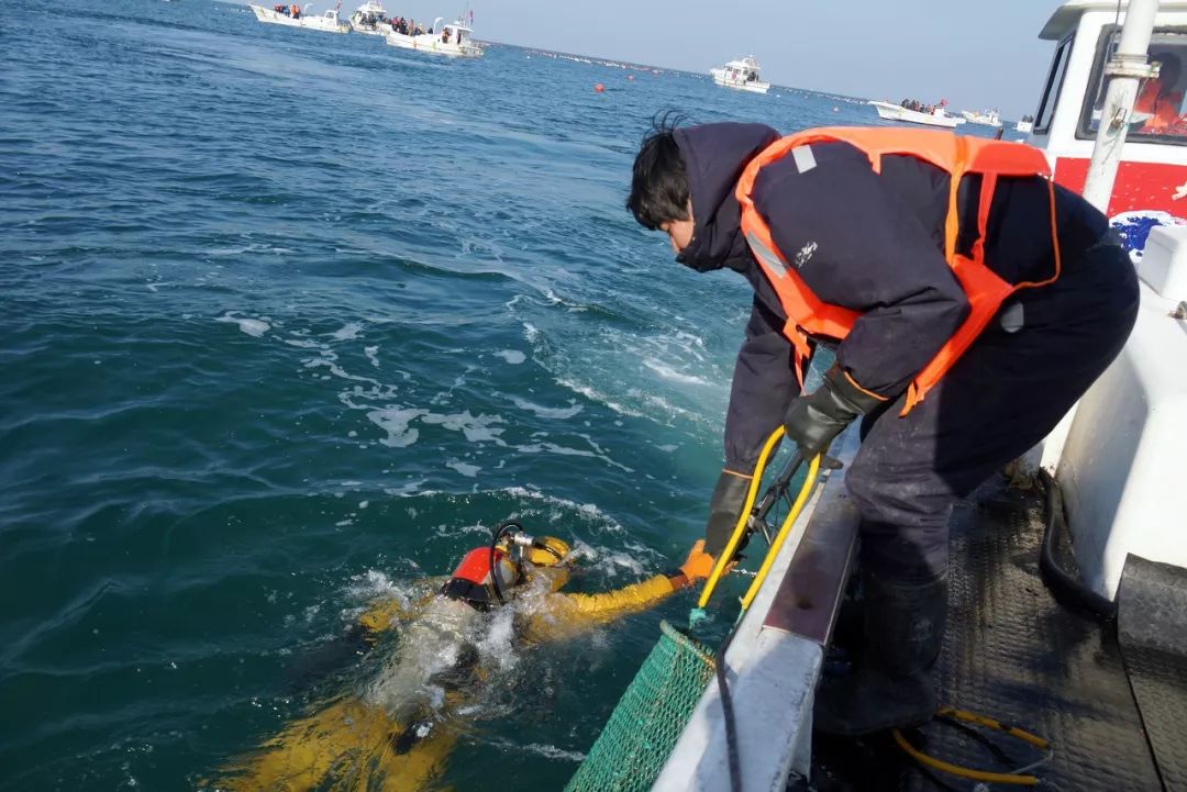 海鲜养殖利润怎么样_海鲜养殖挣钱吗_海鲜养殖成本和利润
