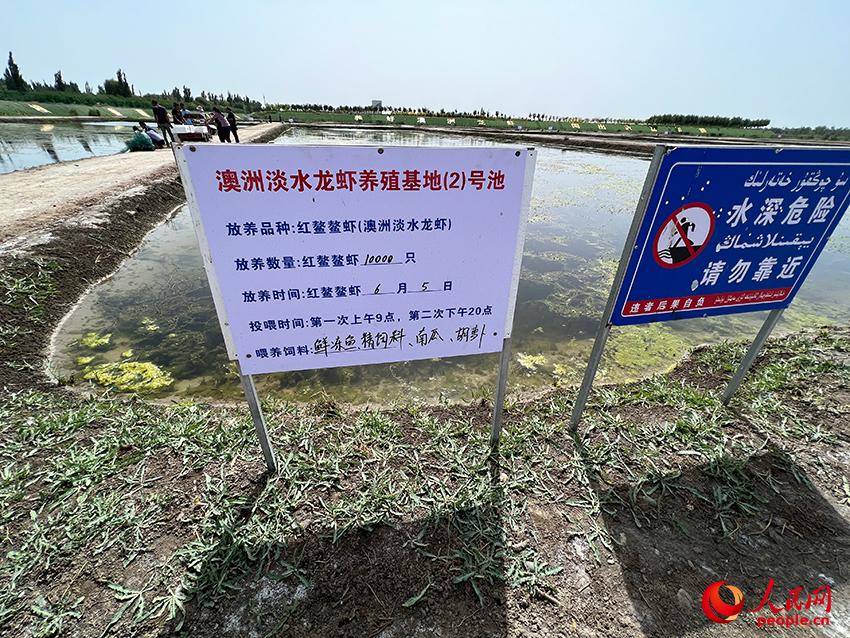 海鲜养殖成本和利润_海鲜养殖利润怎么样_做海鲜养殖怎么样