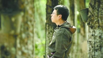 美食主持人视频_美食节目主持人名单_阿丘主持的美食节目