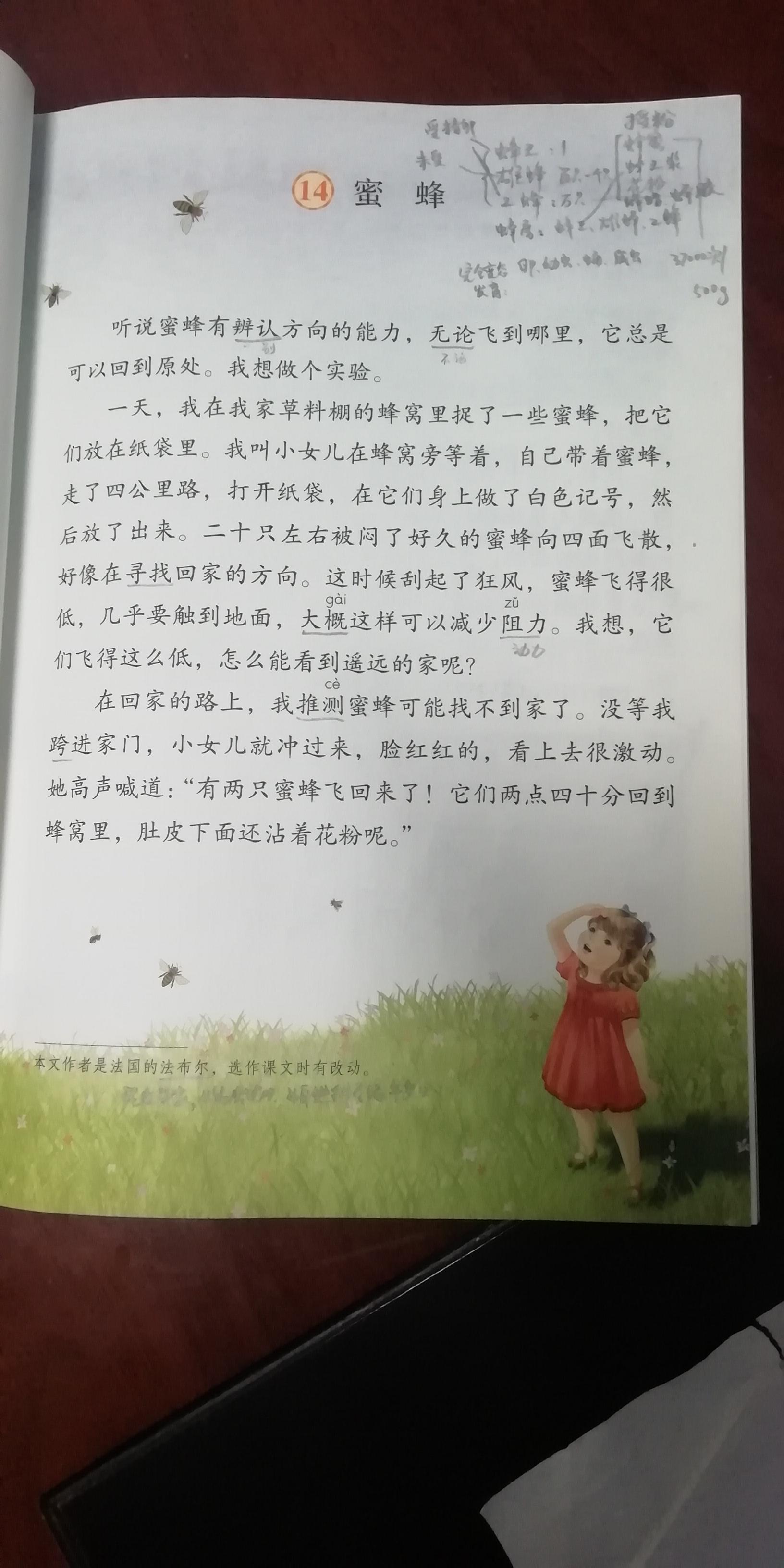 6年级语文教学工作总结_六年级语文教育教学工作总结_六年级语文教学工作总结上学期