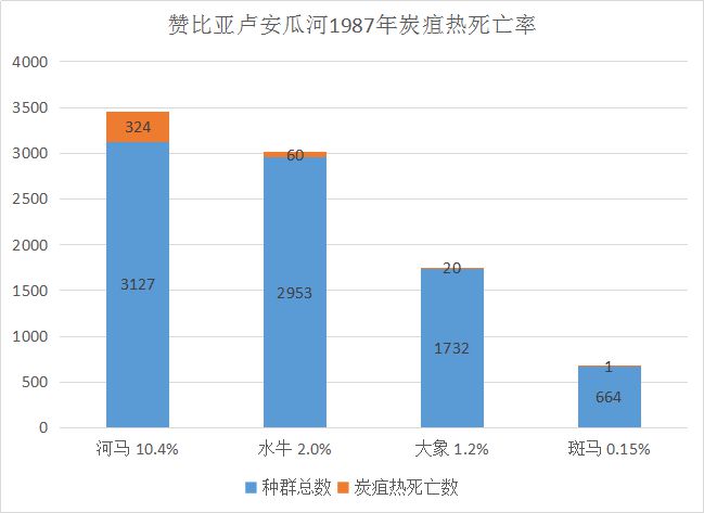 面食做法动物视频教程_面食做法动物图片_动物面食做法