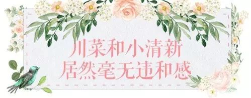 广州哪里吃川菜好_广州吃好川菜的地方_广州的川菜