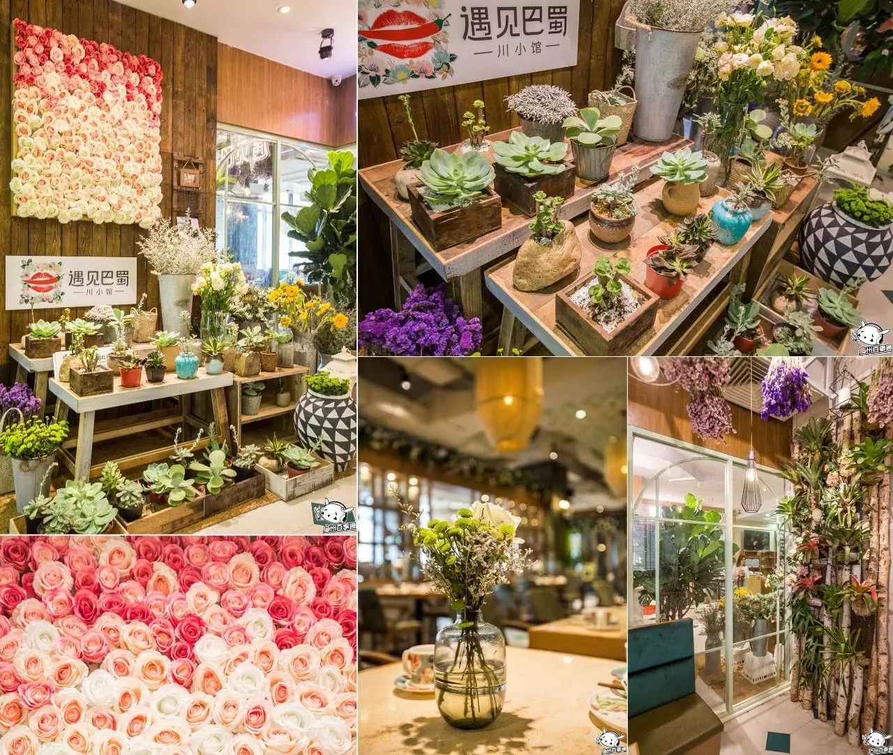 广州吃好川菜的地方_广州哪里吃川菜好_广州的川菜