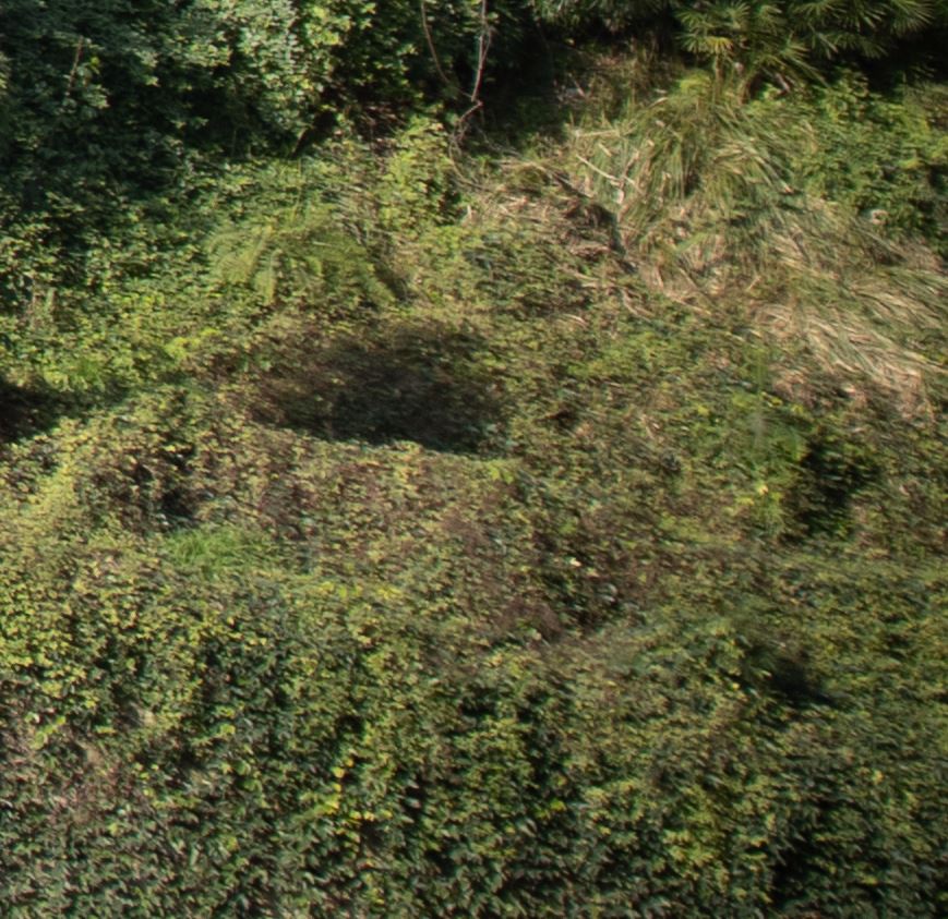 佳能的产品策略论文_佳能产品策略_佳能策略产品介绍