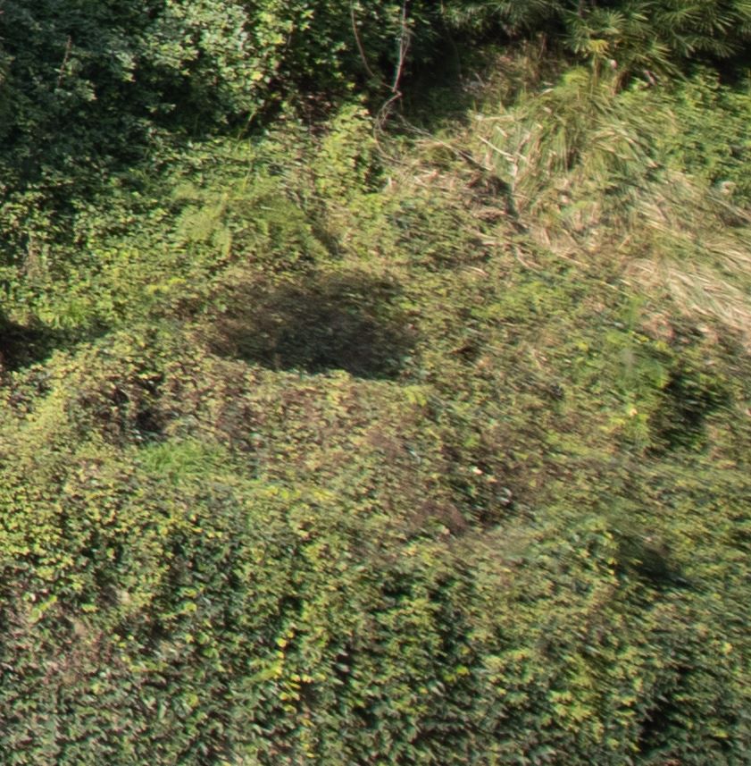 佳能产品策略_佳能策略产品介绍_佳能的产品策略论文