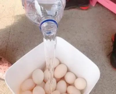 咸鸭蛋的腌制方法家常红土_红土咸鸭蛋的腌制方法_咸鸭蛋红泥的腌制方法