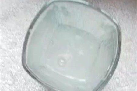 长寿绿巴黎养殖方法_长寿绿巴黎花图片_绿巴黎长寿为什么开白花