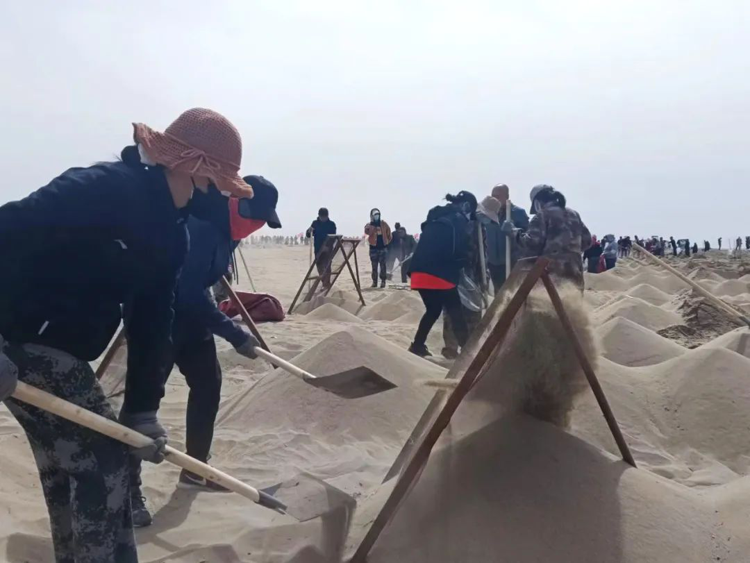 和硕县金沙滩门票多少钱_和硕金沙滩旅游攻略_和硕金沙滩几月份去好