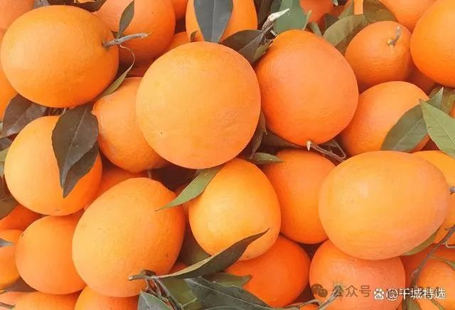 湖北宜昌特产小吃_湖北宜昌名吃_湖北宜昌好吃