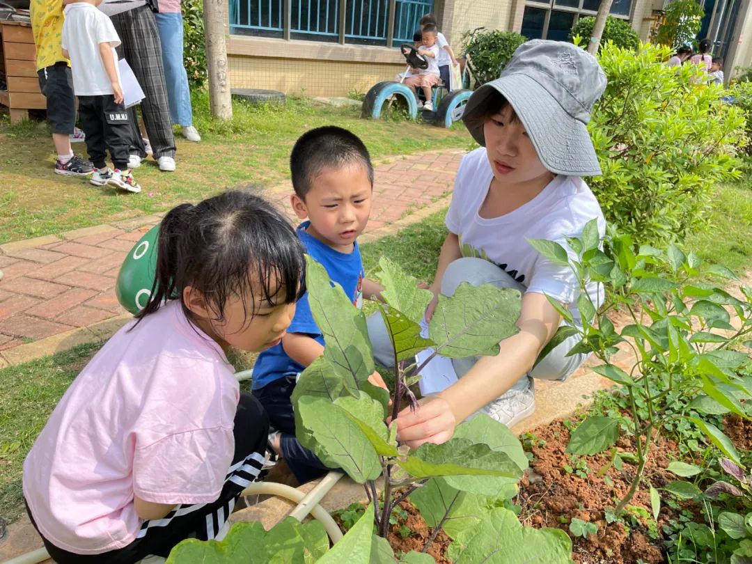 新老师教育笔记早上玩玩具时_新老师教育笔记早上玩玩具时_新老师教育笔记早上玩玩具时