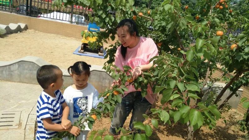 新老师教育笔记早上玩玩具时_新老师教育笔记早上玩玩具时_新老师教育笔记早上玩玩具时