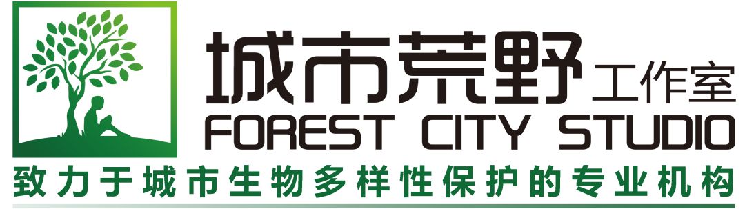 知识问答的答案_生活小知识问答及答案_知识小问答趣味