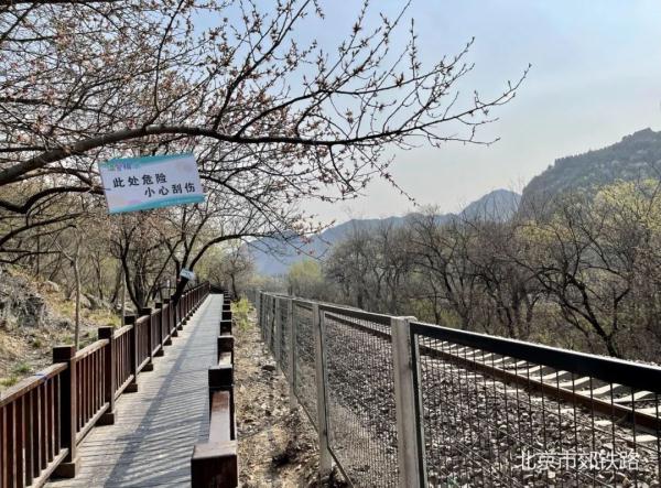 查询火车历史记录_火车查询车次历史怎么查_历史火车车次查询