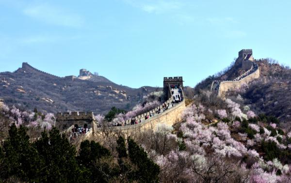 历史火车车次查询_查询火车历史记录_火车查询车次历史怎么查