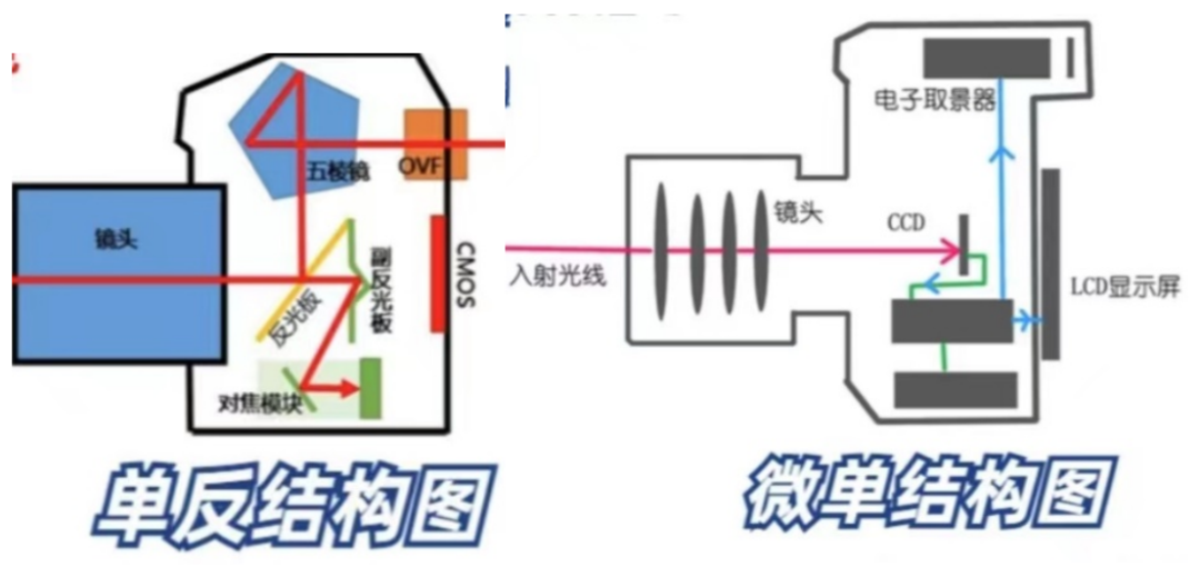 佳能单反无反_佳能无反相机价格_为什么佳能单反涨价了