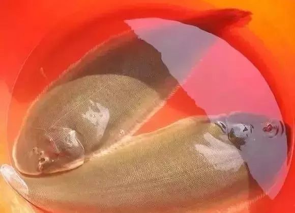 一分利海鲜_利善海鲜大咖_海鲜的利润高吗