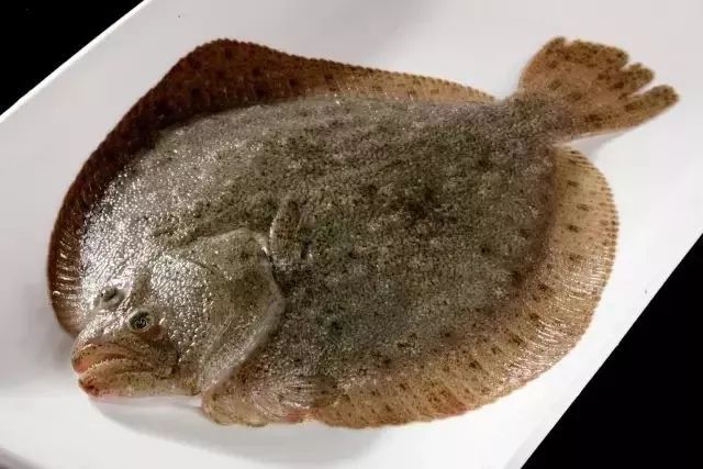 海鲜的利润高吗_利善海鲜大咖_一分利海鲜