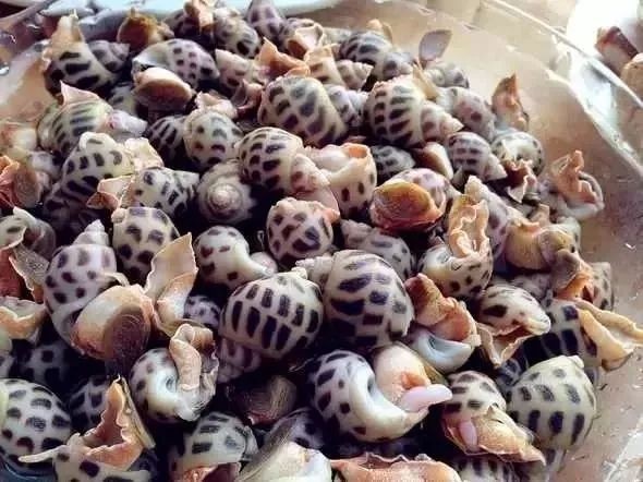 利善海鲜大咖_海鲜的利润高吗_一分利海鲜