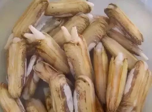 利善海鲜大咖_海鲜的利润高吗_一分利海鲜