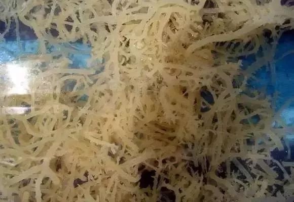 利善海鲜大咖_一分利海鲜_海鲜的利润高吗