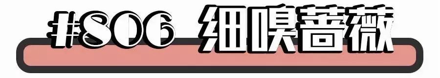 时尚芭莎张韶涵图片_张韶涵2021照片_张韶涵写真照