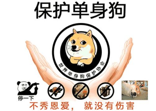 张韶涵时尚图片芭莎高清_时尚芭莎张韶涵图片_张韶涵的照片看一下