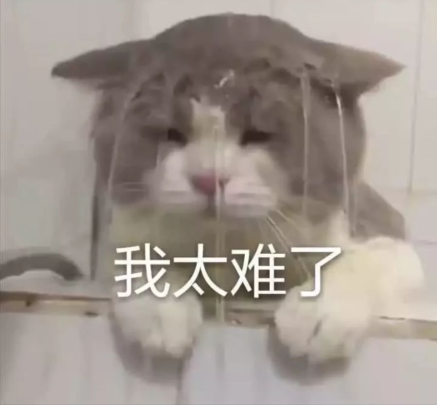 张韶涵的照片看一下_张韶涵时尚图片芭莎高清_时尚芭莎张韶涵图片