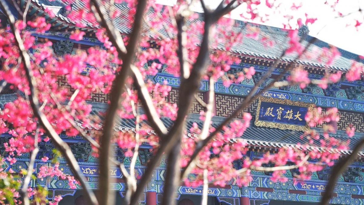 打坐盘腿练习方法_如何盘腿打坐视频教程_盘腿打坐基本要求
