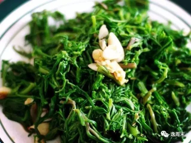 紫贝菜哪些人不能吃_吃紫贝菜有什么好处_紫贝菜可以生吃吗