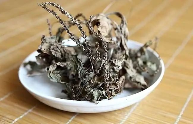 紫贝菜哪些人不能吃_紫贝菜能不能常吃_紫贝菜什么人不能吃