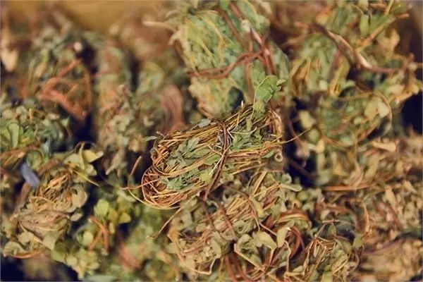 吃紫贝菜有什么好处_紫贝菜哪些人不能吃_紫贝菜什么人不能吃