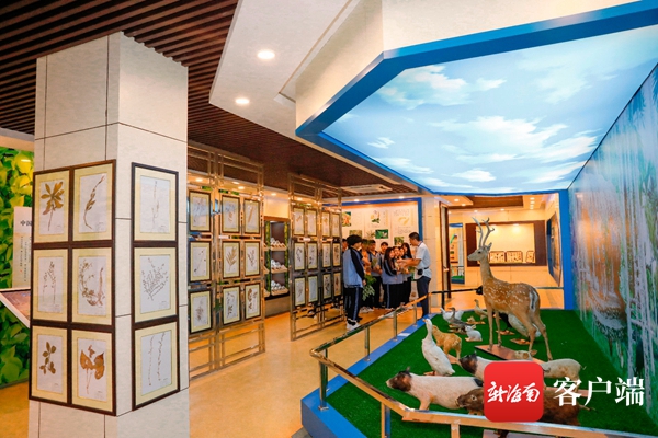 海南农业信息网_海南农业信息网官网_海南省农业厅信息网