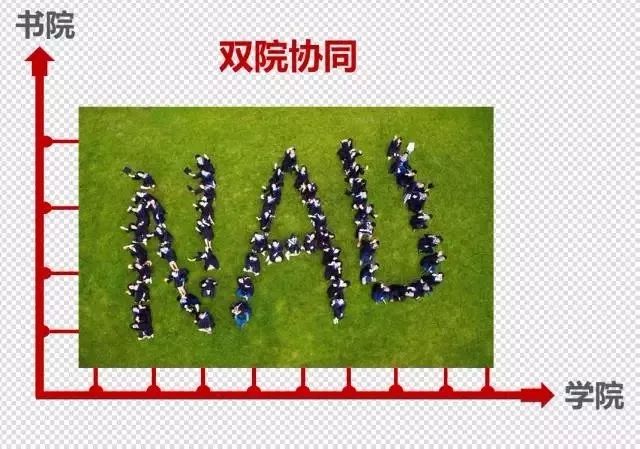江苏教育学院教务处电话_江苏教育学院改名为_江苏教育学院怎么样