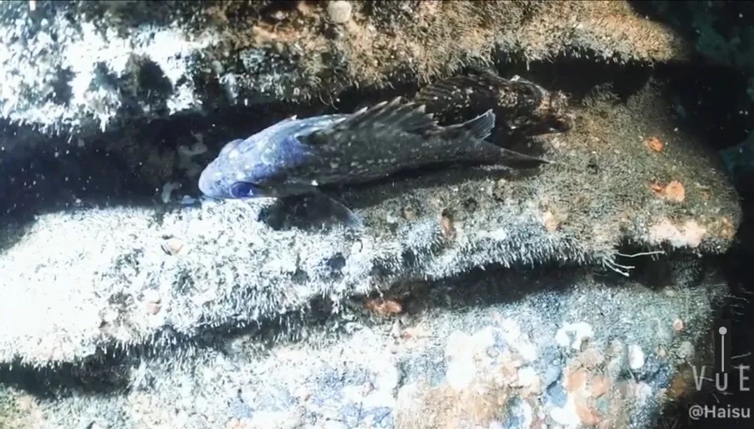 大连海边烧烤店_大连金沙滩能烧烤吗_大连金州海边烧烤