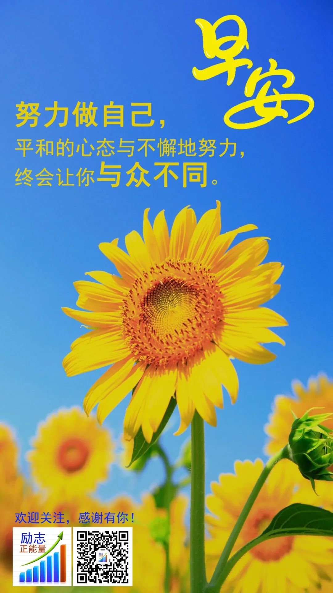 唯美签名个性女生英文_女生的个性签名唯美_唯美签名个性女生霸气
