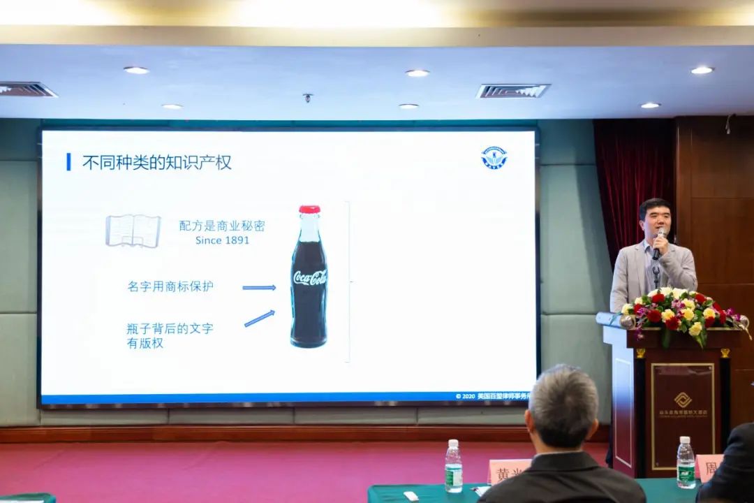 知识产权国际保护所起的作用_国际知识产权保护实例_产权保护十大案例