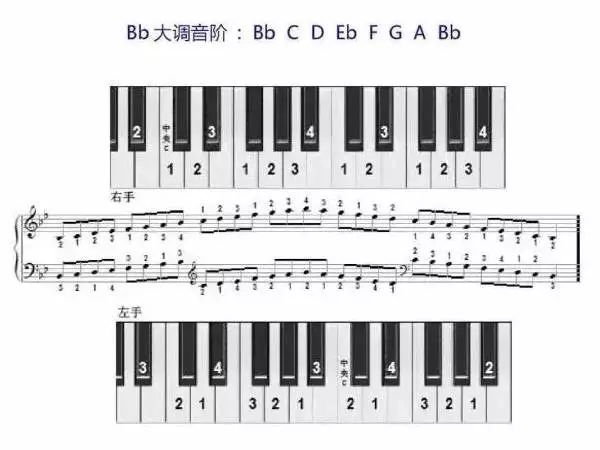 车尔尼钢琴初步教程599_钢琴车尼尔59916条_钢琴书车尔尼599
