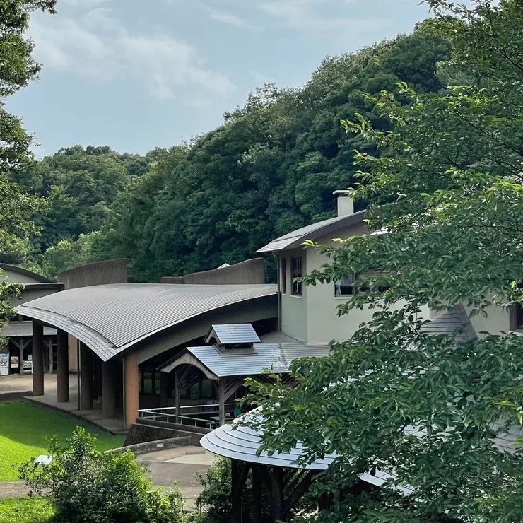 日本东京景点排行榜前十名_日本东京小众景点_日本东京景点