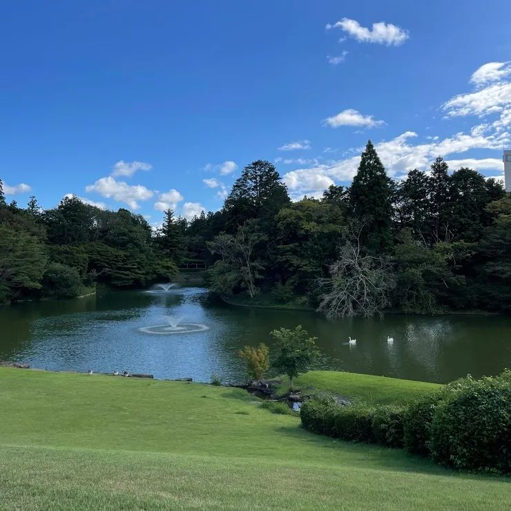 日本东京景点排行榜前十名_日本东京景点_日本东京小众景点