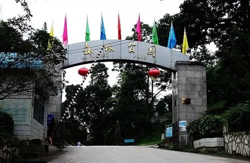 贵阳都溪林场空中怪车事件_贵阳空中怪车事件视频_贵阳空中怪车遗址展览