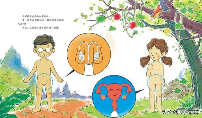 青春期:给男孩和女孩的性教育_关于男孩子青春期性教育的方法_男性青春期性教育走向成熟