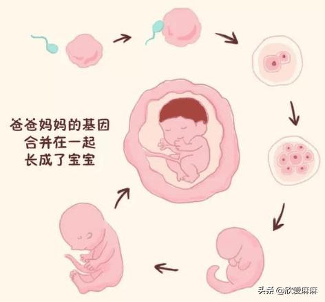 关于男孩子青春期性教育的方法_青春期:给男孩和女孩的性教育_男性青春期性教育走向成熟