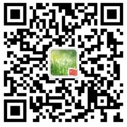 五莲县教育信息网_五莲教育信息网官网_五莲教育网微信公众号