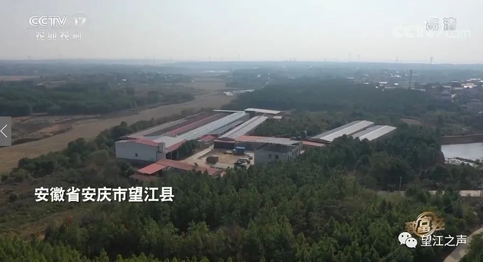 cctv7农业主持人_农业频道主持人_农业频道主持人