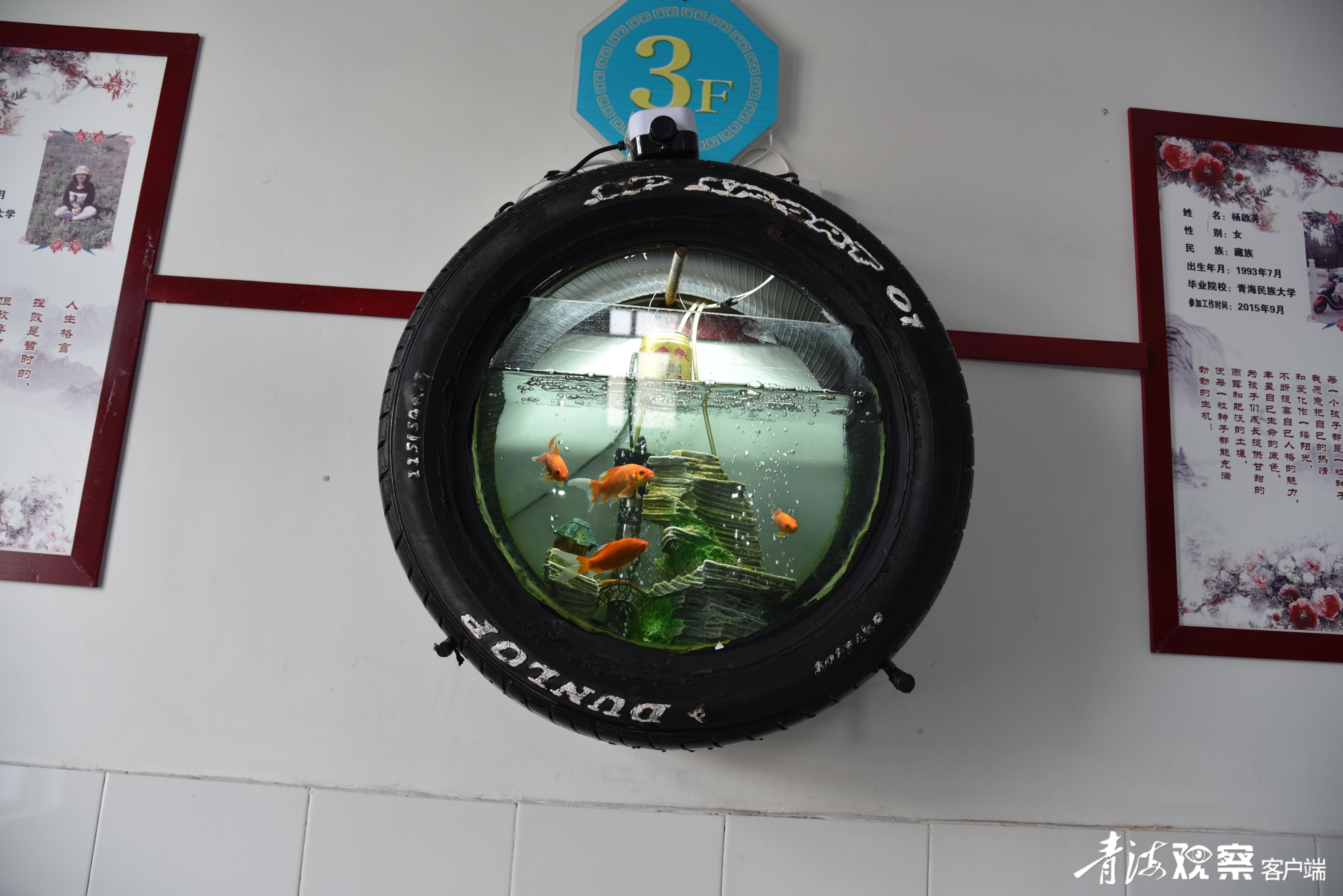 青海省海北州教育局_青海省海北州教育资源_青海省海北州教师招聘