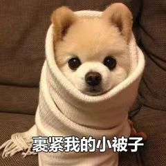配方滋补炖品大全_配方滋补炖品是什么_滋补炖品配方